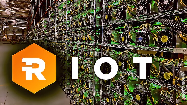 Photo: Company And Capital